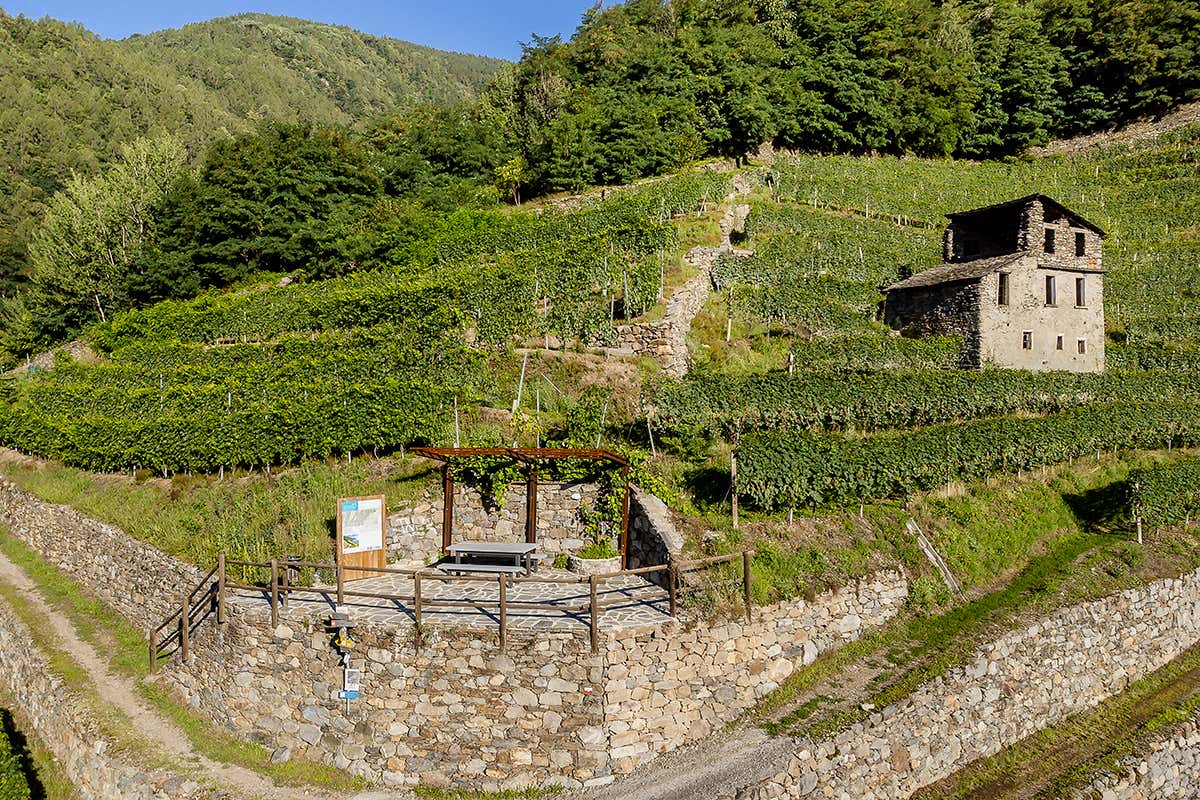 Fermarsi per respirare la storia: sosta rigenerante sul percorso mariano a Bianzone