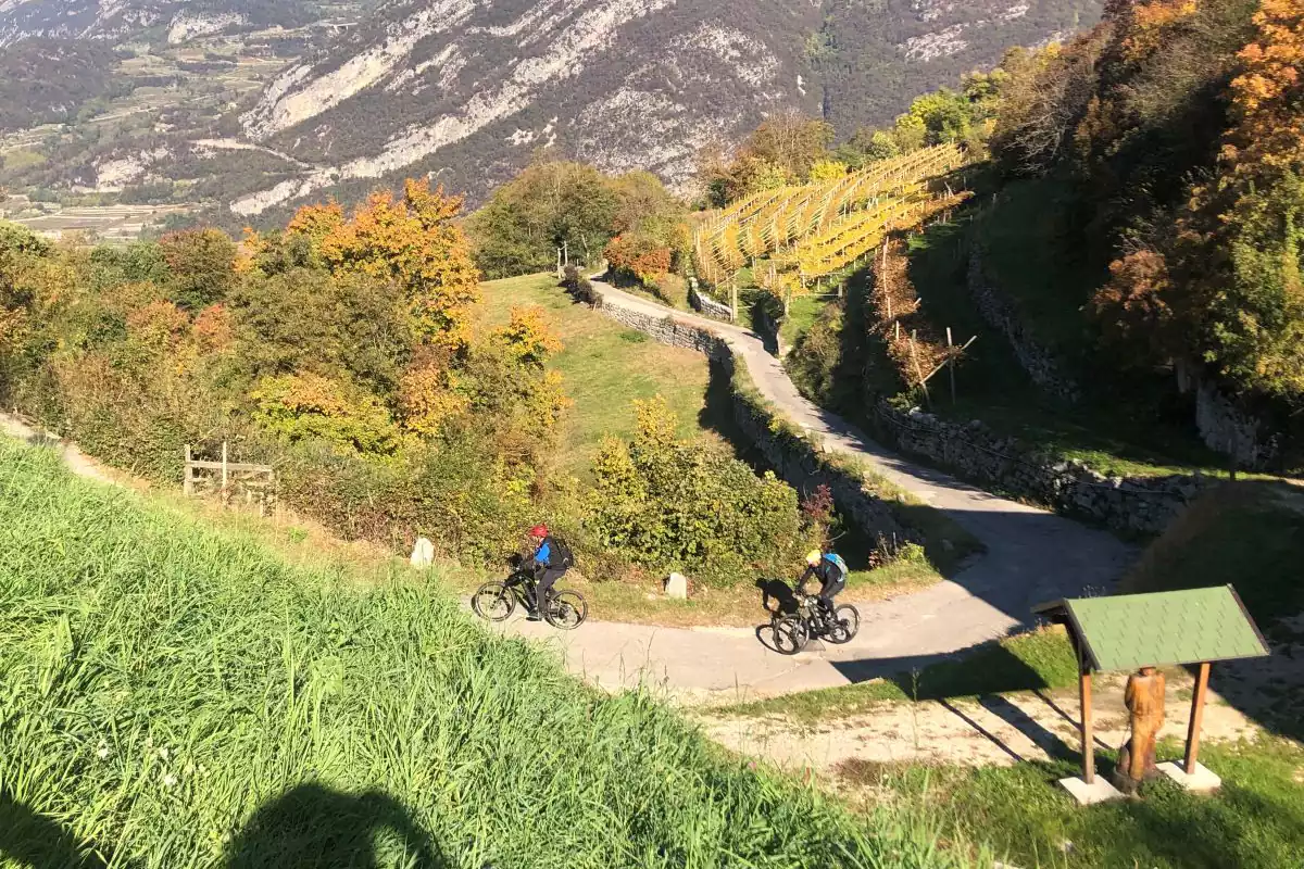 In bici lungo colline e vigneti Pedalando sulla Strada del Vino e dei Sapori del Trentino
