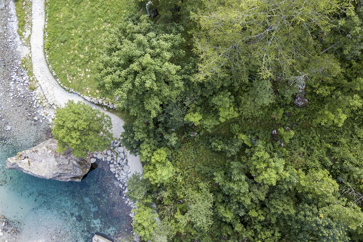 Bidet della Contessa 