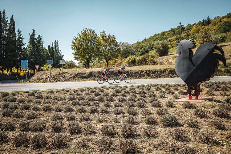 I percorsi si snodano tra le strade del Gallo Nero - Bike Day con il Gallo NeroUna giornata tra sport e sapori I percorsi si snodano tra le strade del Gallo Nero - Bike Day con il Gallo NeroUna giornata tra sport e sapori