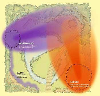 Effetti del Bioenergetic landscape