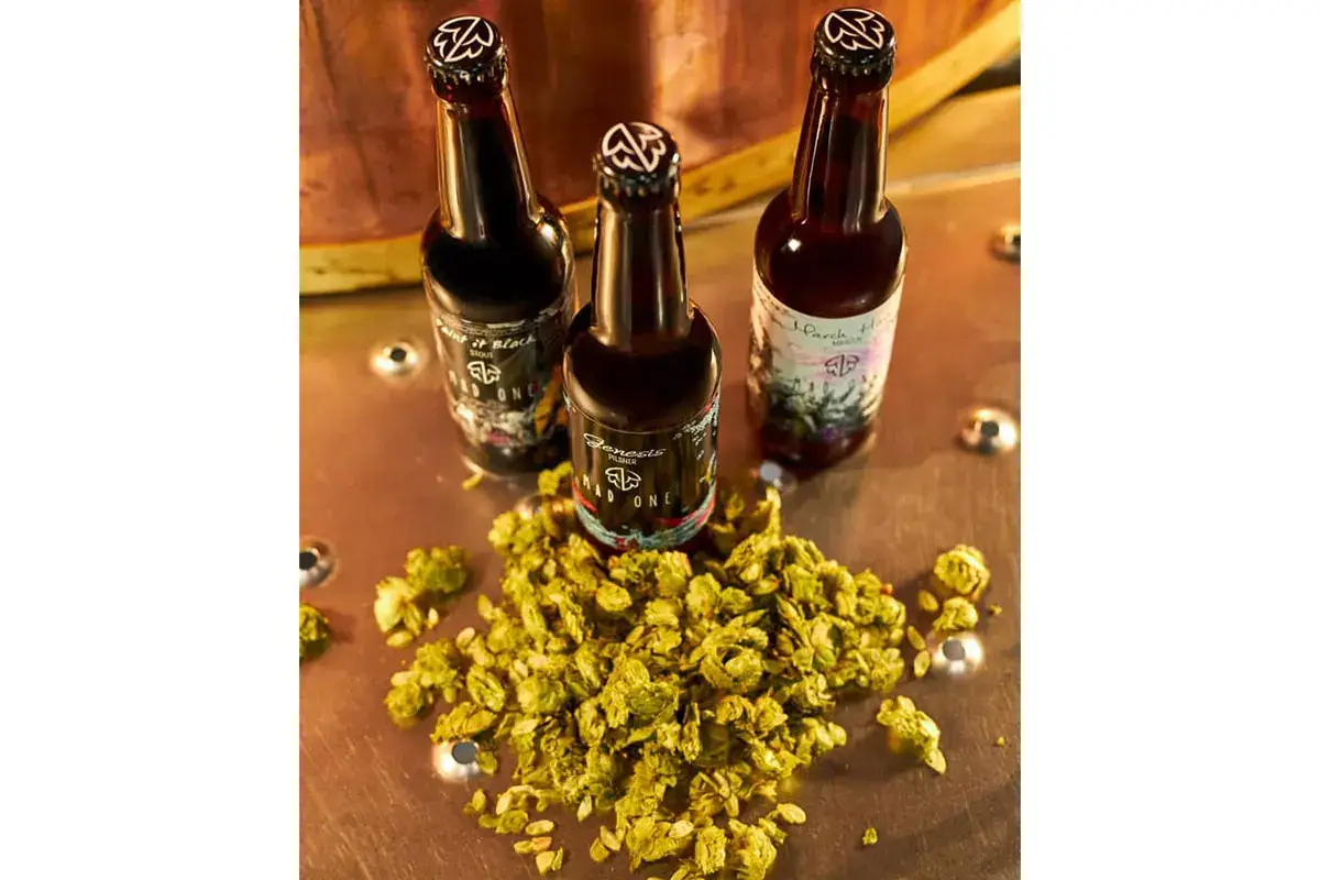 Birre Mad One Birra artigianale, in continuo fermento e al passo con la tecnologia