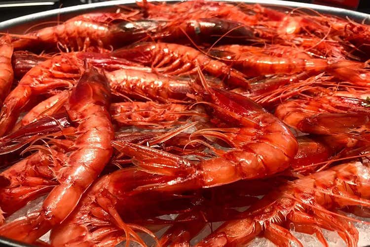 Bluu a Nocera Inferiore Trionfo del mare in tavola