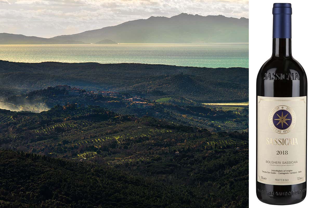 L'Europa dà ragione a vini Bolgheri e Sassicaia: bocciato il Bolgarè bulgaro L'Europa dà ragione a vini Bolgheri e Sassicaia: bocciato il Bolgarè bulgaro