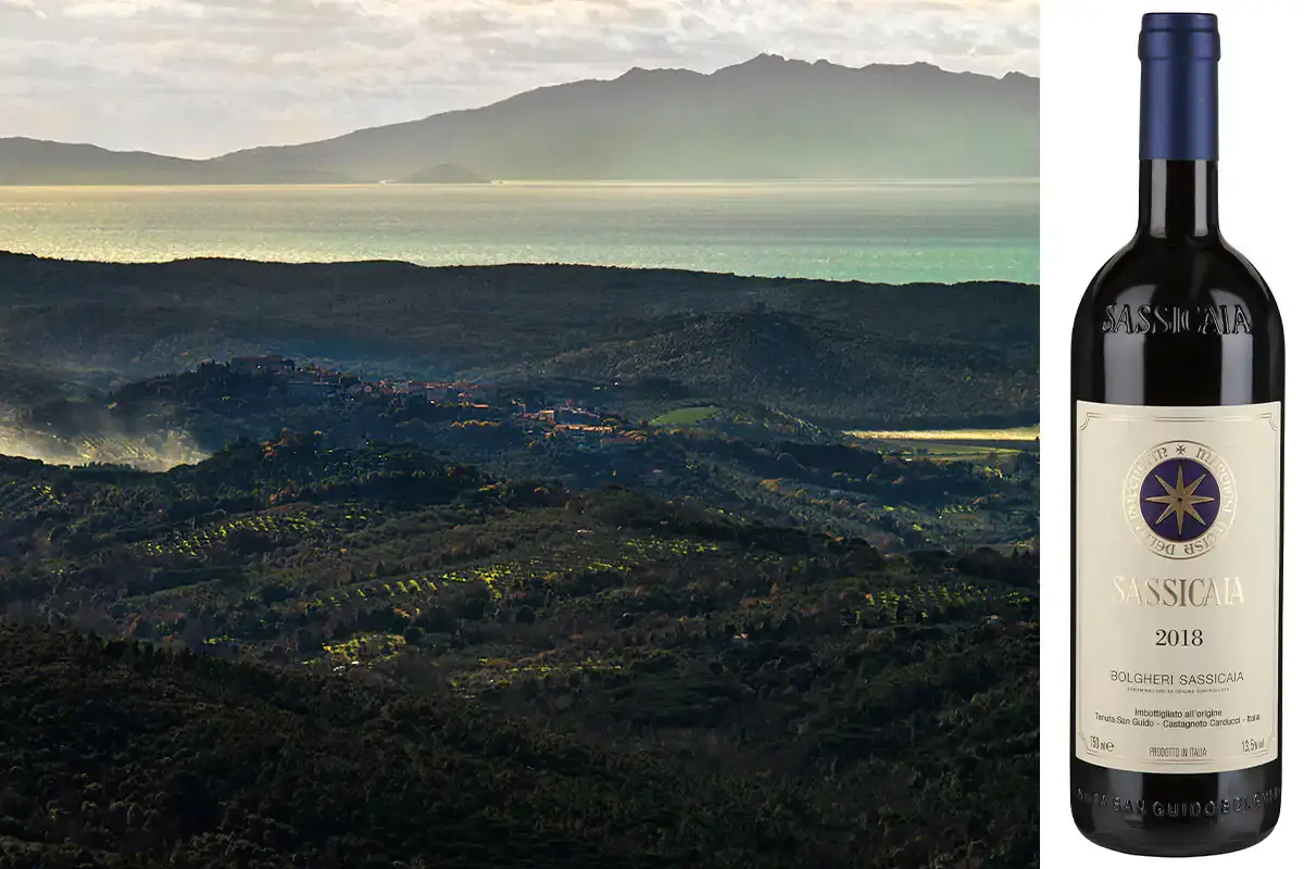 L'Europa d&agrave; ragione a vini Bolgheri e Sassicaia: bocciato il Bolgar&egrave; bulgaro