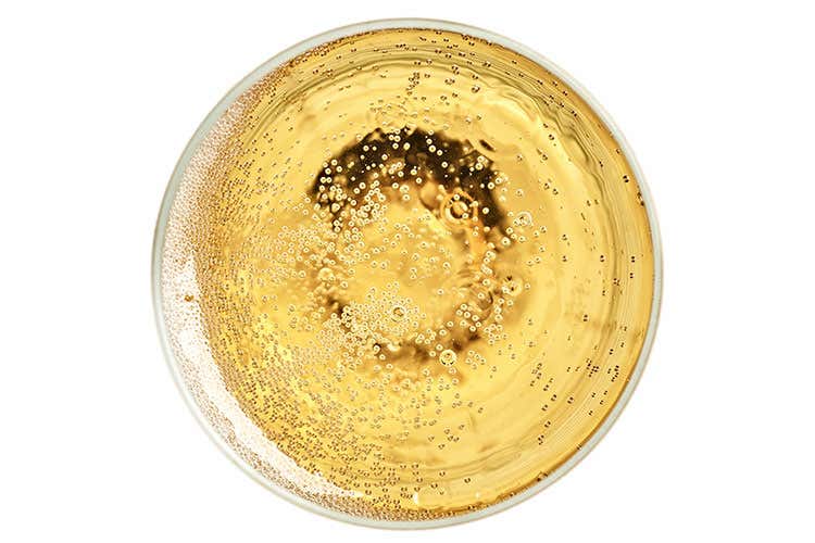 (Bollicine, Prosecco sempre in testa Aumentano tra i consumatori gli over 60) (Bollicine, Prosecco sempre in testa Aumentano tra i consumatori gli over 60)