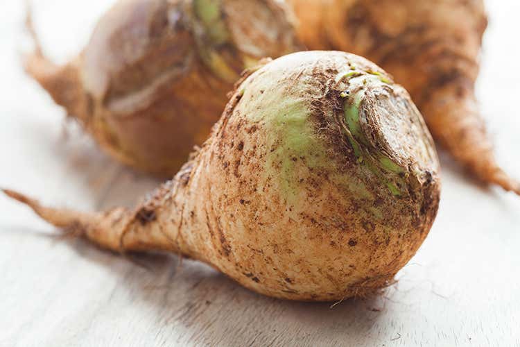 Bollita, arrosto, fritta o stufata La rutabaga, versatile in cucina Bollita, arrosto, fritta o stufata La rutabaga, versatile in cucina