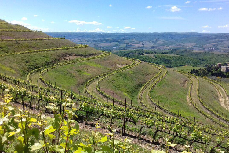 A Borgo Egnazia arriva Marchesi Antinori Una cena e sei annate in degustazione A Borgo Egnazia arriva Marchesi Antinori Una cena e sei annate in degustazione