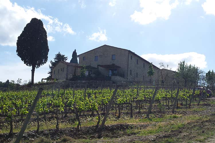 Borgo del Cabreo rinasce coi Folonari Obiettivo, recuperare le tradizioni Borgo del Cabreo rinasce coi Folonari Obiettivo, recuperare le tradizioni