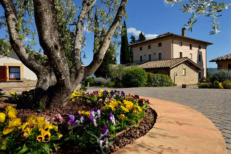 Un bar-piscina e menu locali Borgobrufa riapre oltre le difficoltà