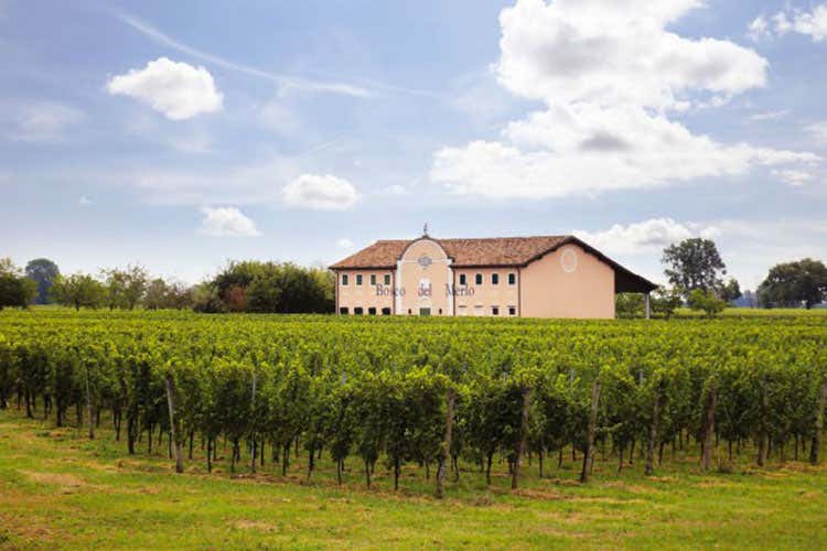 (Bosco del Merlo Vineargenti Riserva Una bella prova di Viticoltura ragionata) (Bosco del Merlo Vineargenti Riserva Una bella prova di Viticoltura ragionata)