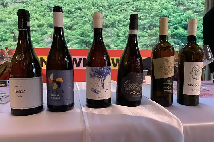 Sei Abruzzo Pecorino in degustazione Abruzzo Pecorino, bianco del futuro
