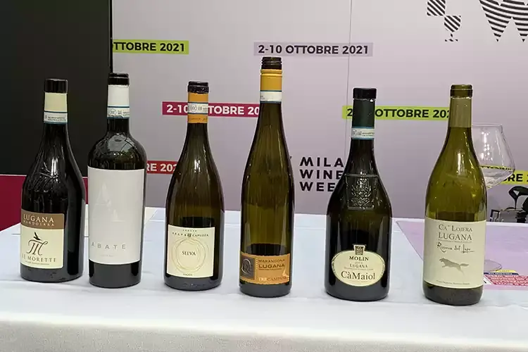 Le bottiglie di Lugana in degustazione Lugana, bianco food friendly che sa invecchiare