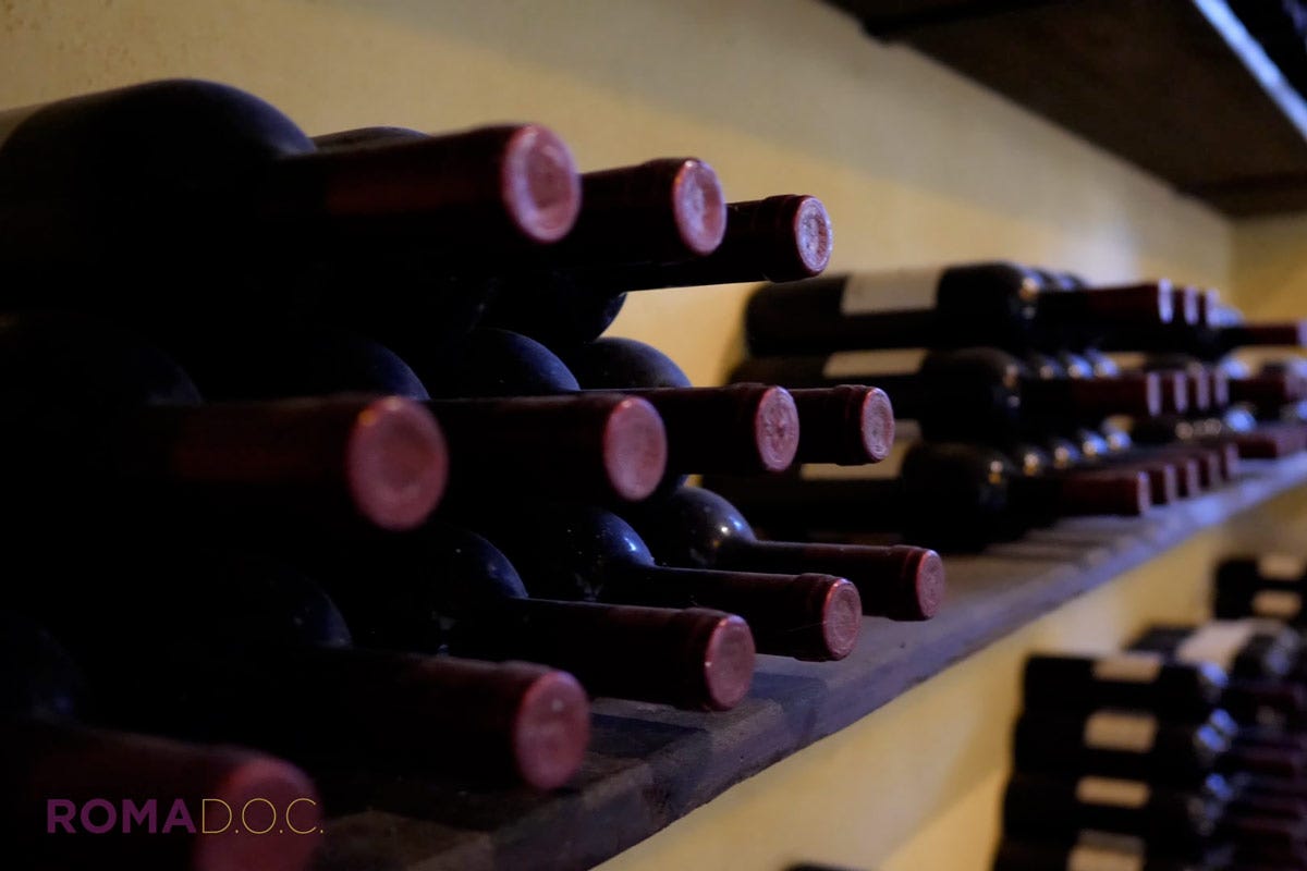  La denominazione più piccola è Roma Doc, nata nel 2011 per iniziativa dell'Associazione Produttori e comprende appena 175 ettari vitati Lazio quando la diversità è la forza del vino