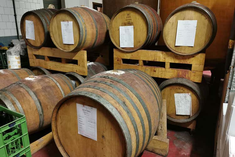Il vino riposa in tonneaux di rovere francese - Cantina Brandolini, da 150 annirossi e bollicine in Oltrep&ograve; Pavese