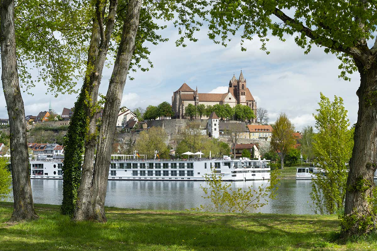 Sul Reno, la stagione degli asparagi si celebra anche con crociere gastronomiche tra paesaggi fluviali