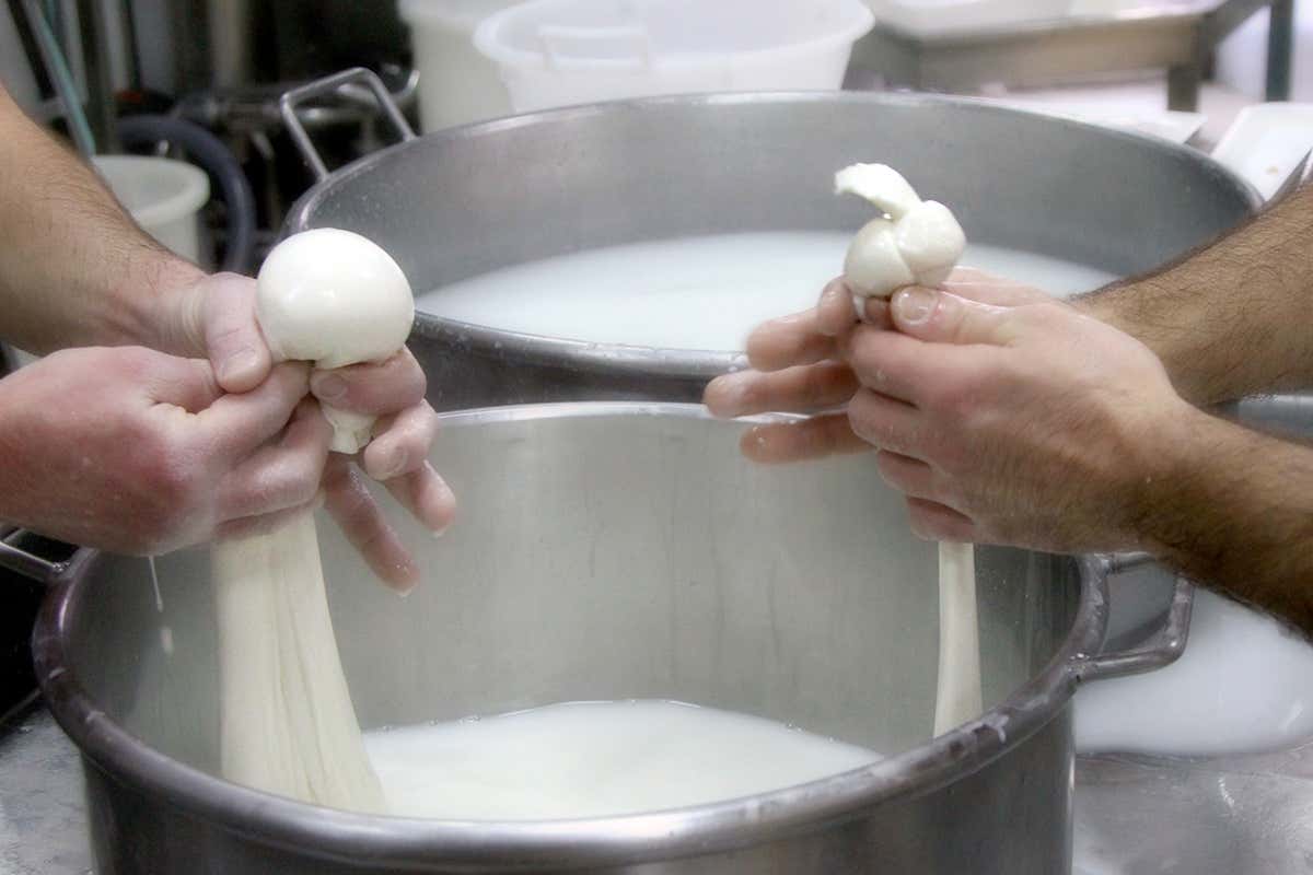 La lavorazione manuale della burrata di Andria