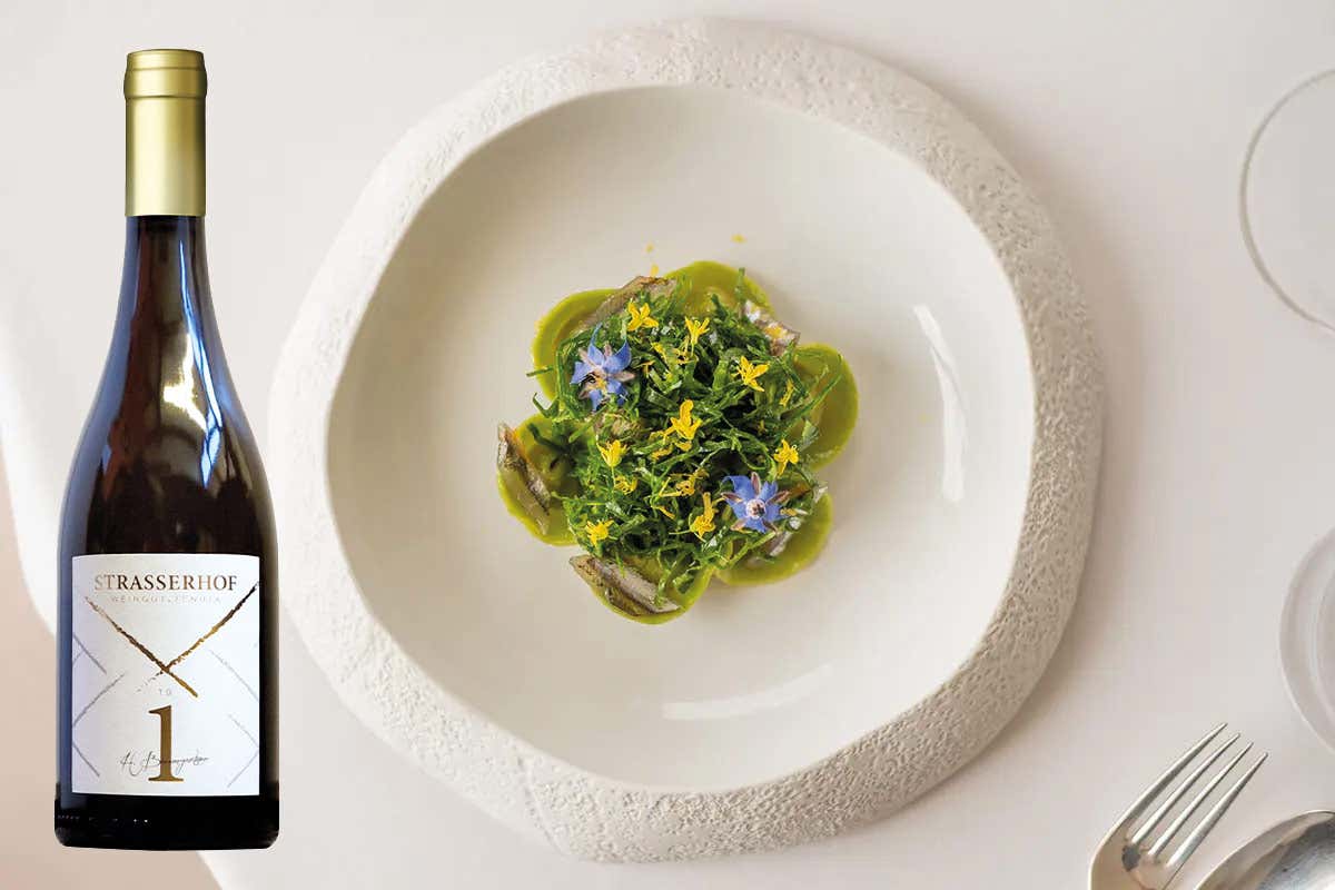 £$L’Italia del vino:$£ la Valle Isarco, un tesoro nascosto della viticoltura italiana £$L’Italia del vino:$£ la Valle Isarco, un tesoro nascosto della viticoltura italiana