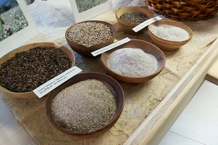 (Butéga Valtellina Alla ricerca di prodotti unici, non tipici) (Butéga Valtellina Alla ricerca di prodotti unici, non tipici)