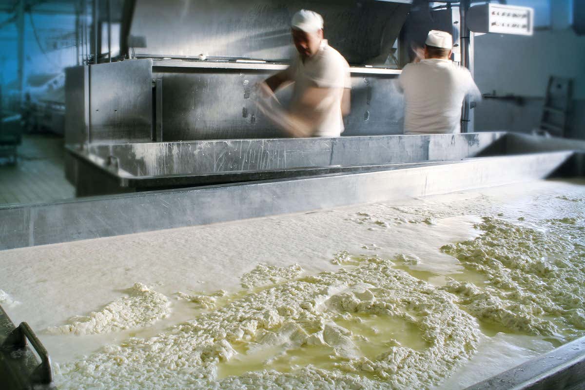 Trevalli Cooperlat ha negli anni acquisito e affinato un vastissimo know how Trevalli Cooperlat: oltre alla tradizione del latte i prodotti innovativi vegetali