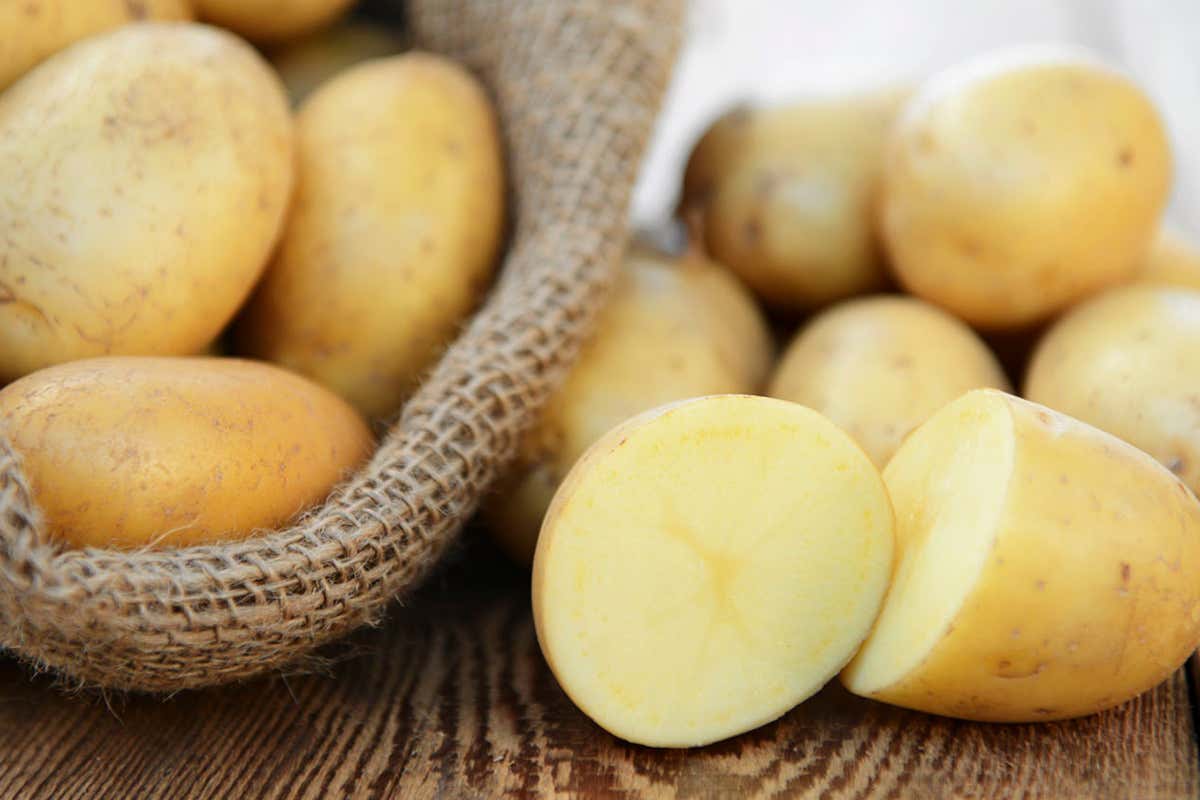 Giornata internazionale della patata: il tubero che unisce arte, poesia e cucina Giornata internazionale della patata: il tubero che unisce arte, poesia e cucina