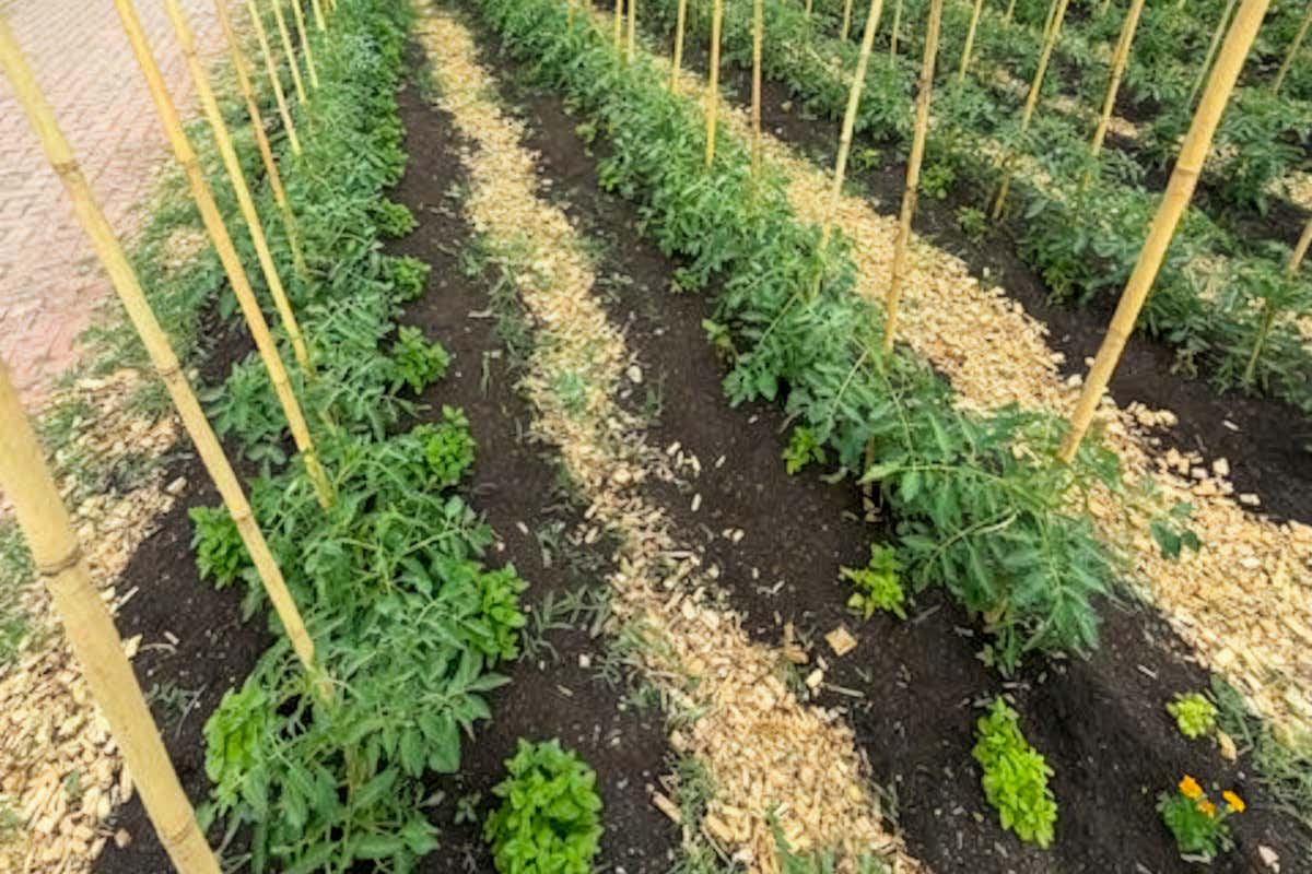 La Cascina delle Esperienze a Cassino Po: turismo, cucina e inclusione sociale