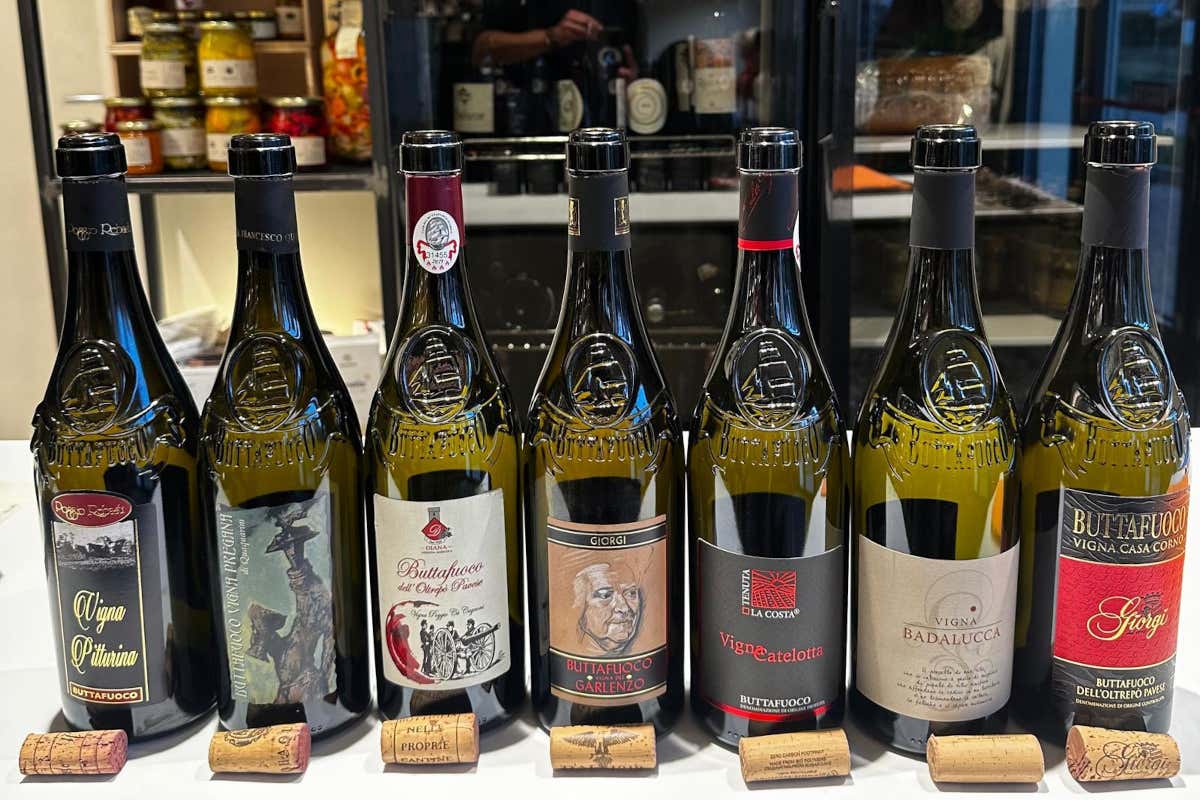 Buttafuoco Storico, il vino identitario che diventa un modello per l'Oltrepò pavese Buttafuoco Storico, il vino identitario che diventa un modello per l'Oltrepò pavese