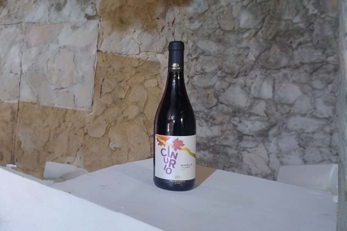 Vino novello, vince la Calabria: il “Cinurio” di Tramontata è il migliore italiano Vino novello, vince la Calabria: il “Cinurio” di Tramontata è il migliore italiano
