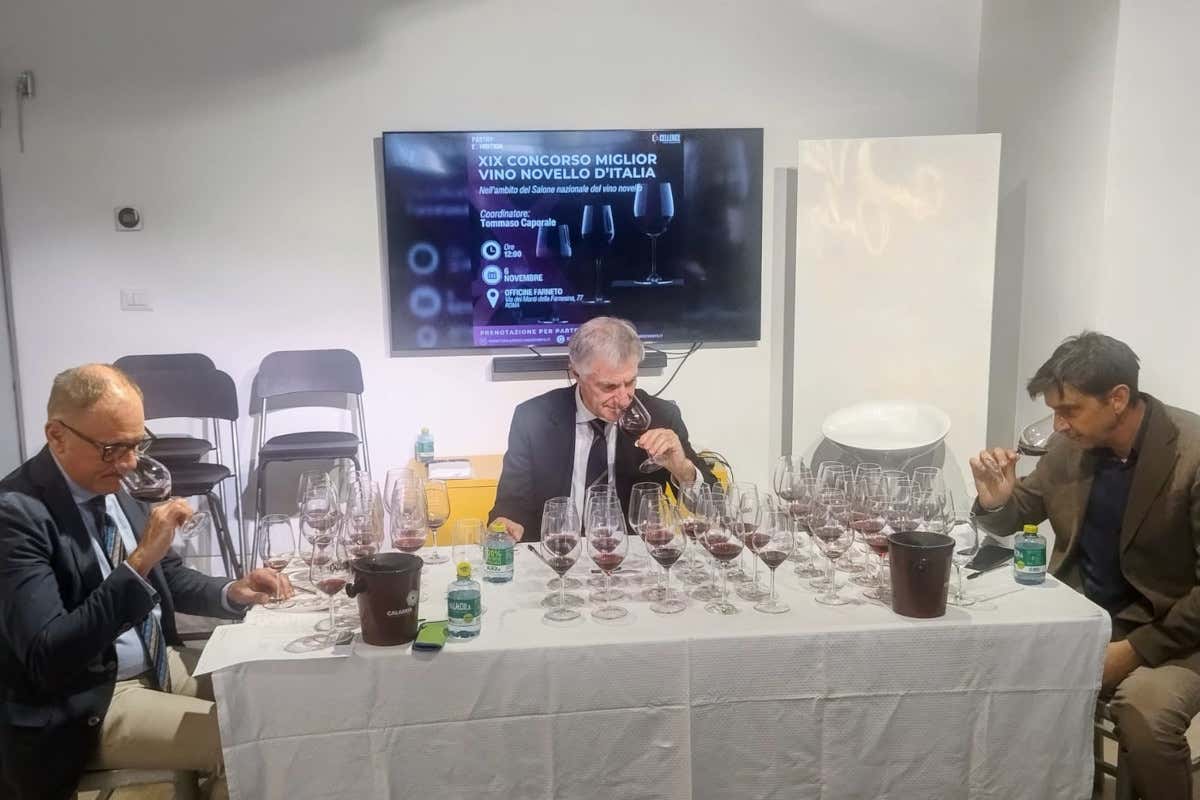 Vino novello, vince la Calabria: il “Cinurio” di Tramontata è il migliore italiano Vino novello, vince la Calabria: il “Cinurio” di Tramontata è il migliore italiano