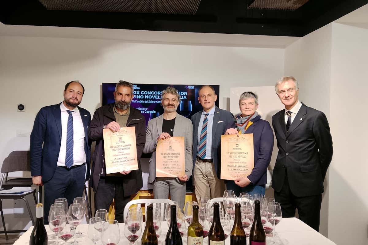 Vino novello, vince la Calabria: il “Cinurio” di Tramontata è il migliore italiano Vino novello, vince la Calabria: il “Cinurio” di Tramontata è il migliore italiano