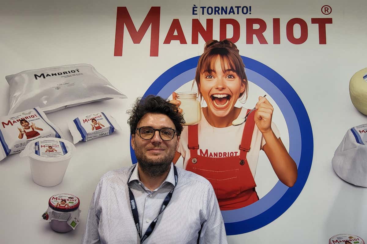 Formaggi su misura per chef e pizzaioli: arriva una nuova linea dedicata