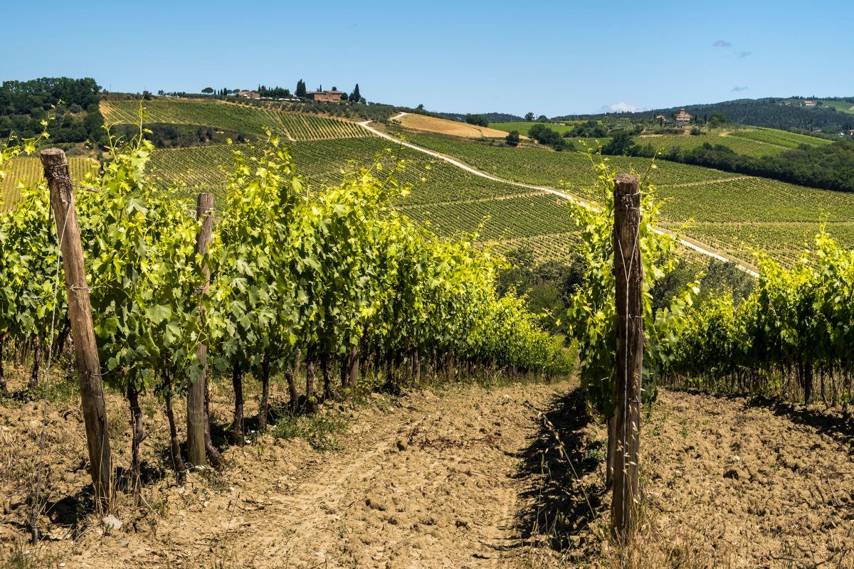 “Castellina in Chianti - territorio vino persone”: l'incontro con l'autore