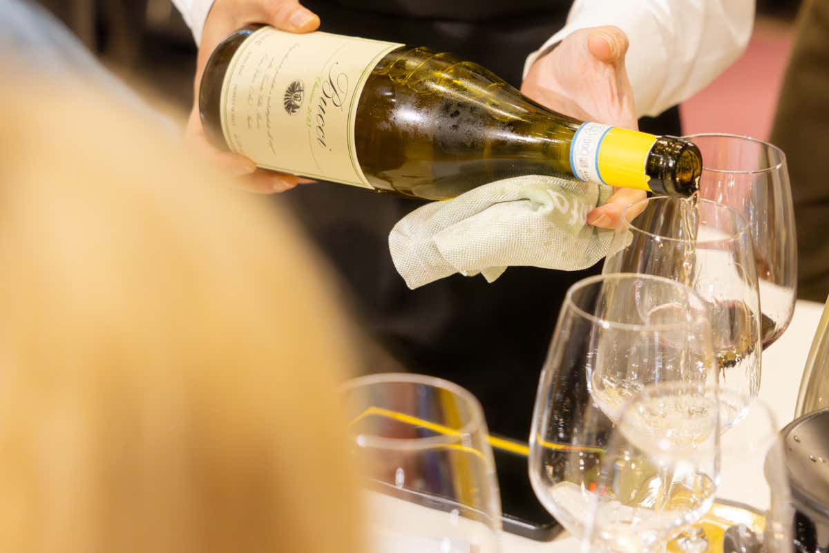 Dalla moda al vino: la visione di Federico Veronesi con Signorvino e Oniwines Dalla moda al vino: la visione di Federico Veronesi con Signorvino e Oniwines