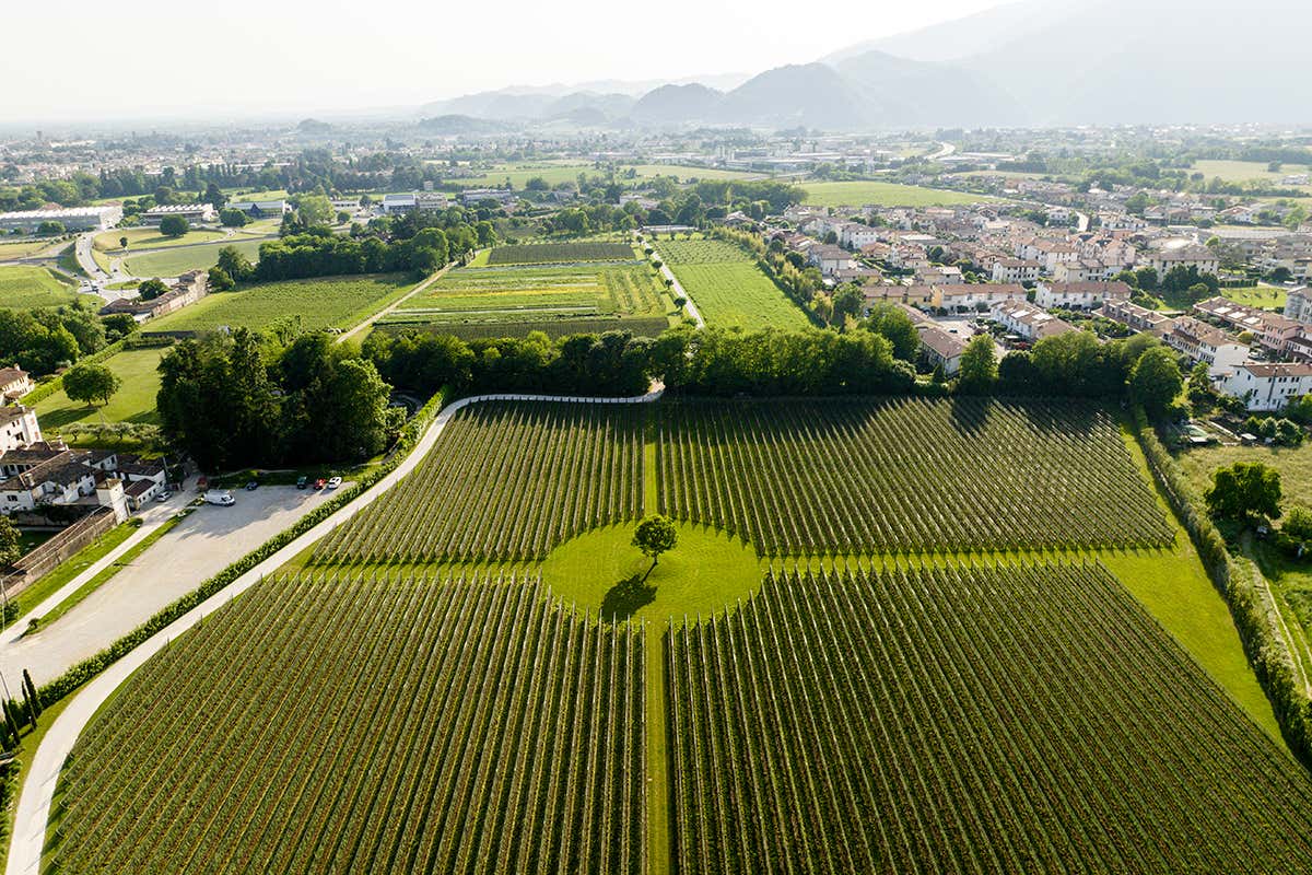 A Natale brinda in modo sostenibile con gli spumanti Piwi di Ca’ da Roman A Natale brinda in modo sostenibile con gli spumanti Piwi di Ca’ da Roman