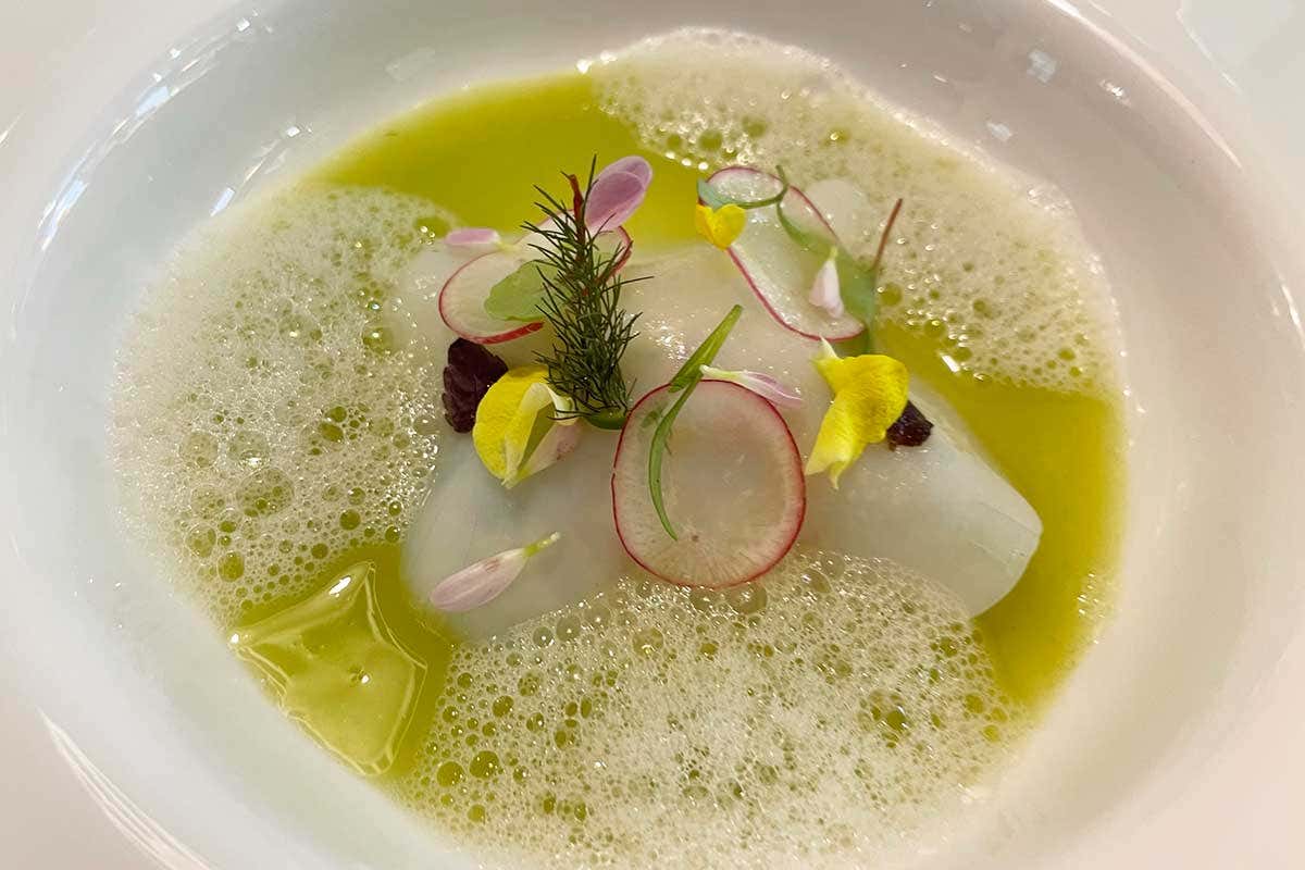 CEVICHE VERDE (ceviche di storione, acqua di sedano, lime e finocchio, servito con sfoglia di seppia) Scoprire l’alta cucina attraverso la verdura grazie a Peter Brunel
