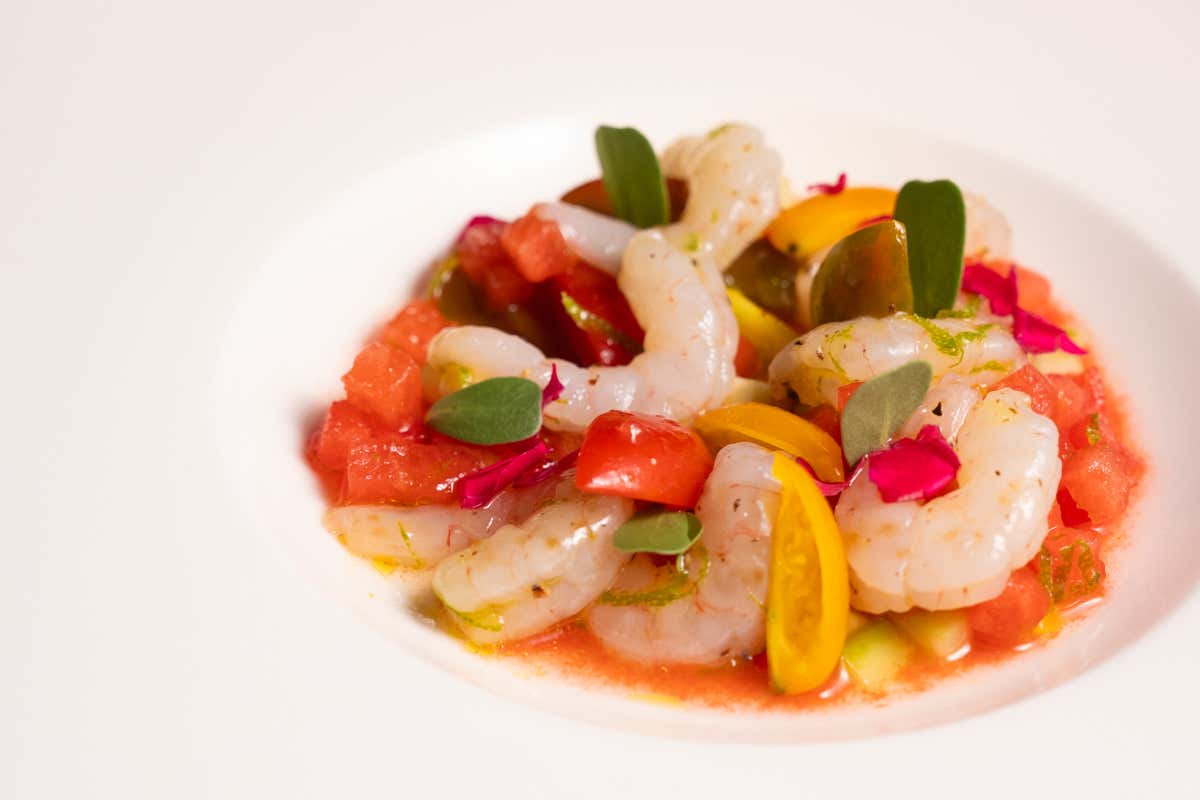 “Ogni piatto è un tassello”, come si mangia da Elementi a Latina