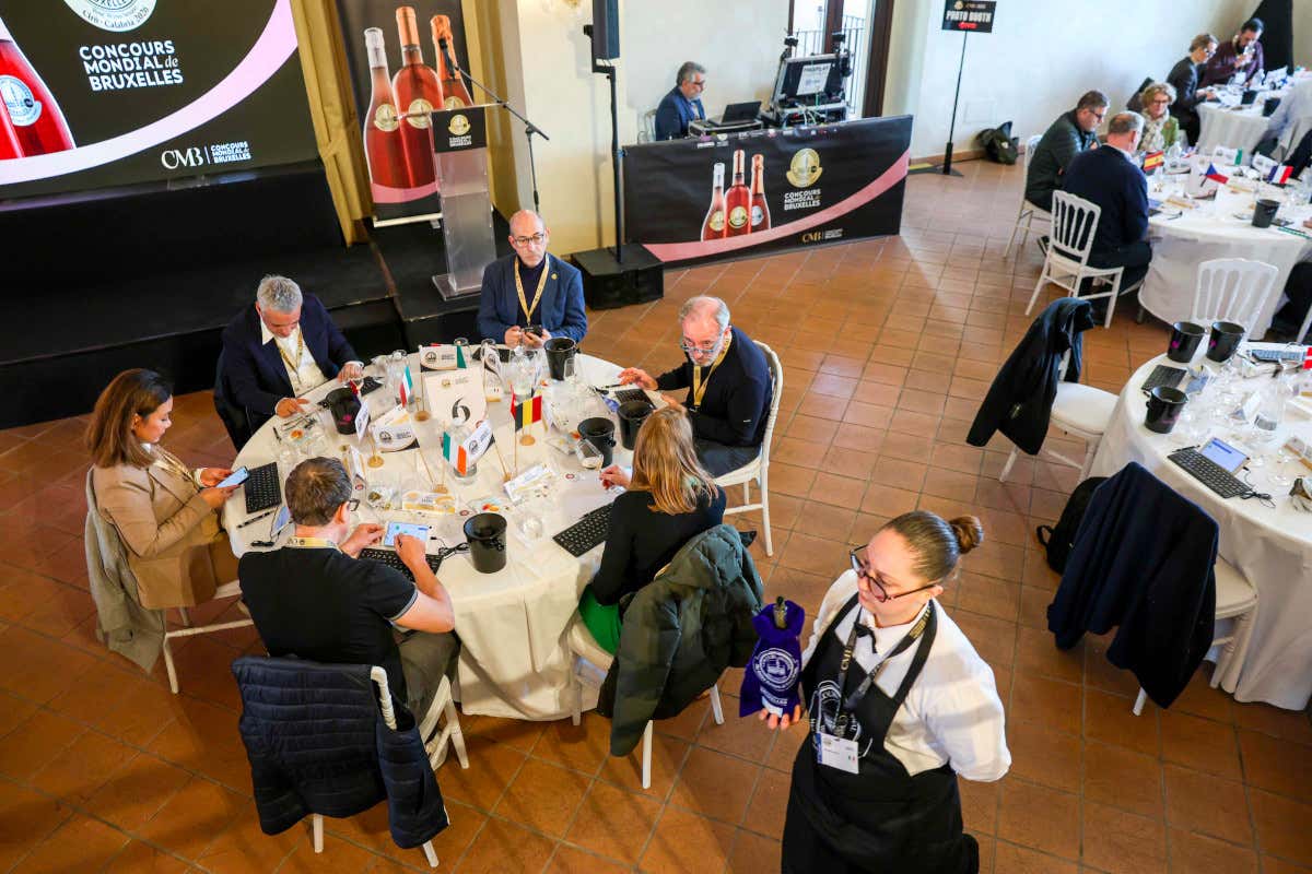 CMB vini rosati, 6 Gran Medaglie d’Oro all’Italia (seconda nel medagliere)