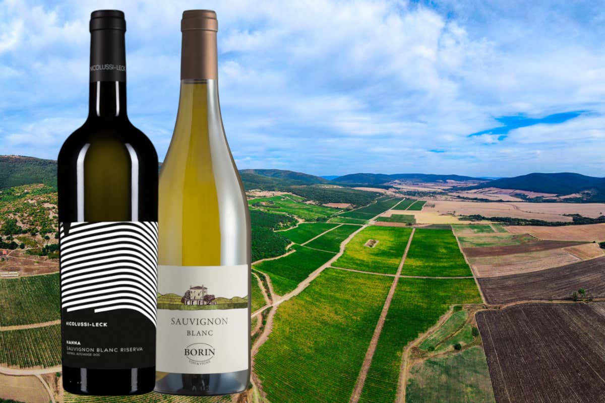 Sauvignon Selection by CMB: per l'Italia 2 Gran medaglie d'oro e 33 premi totali