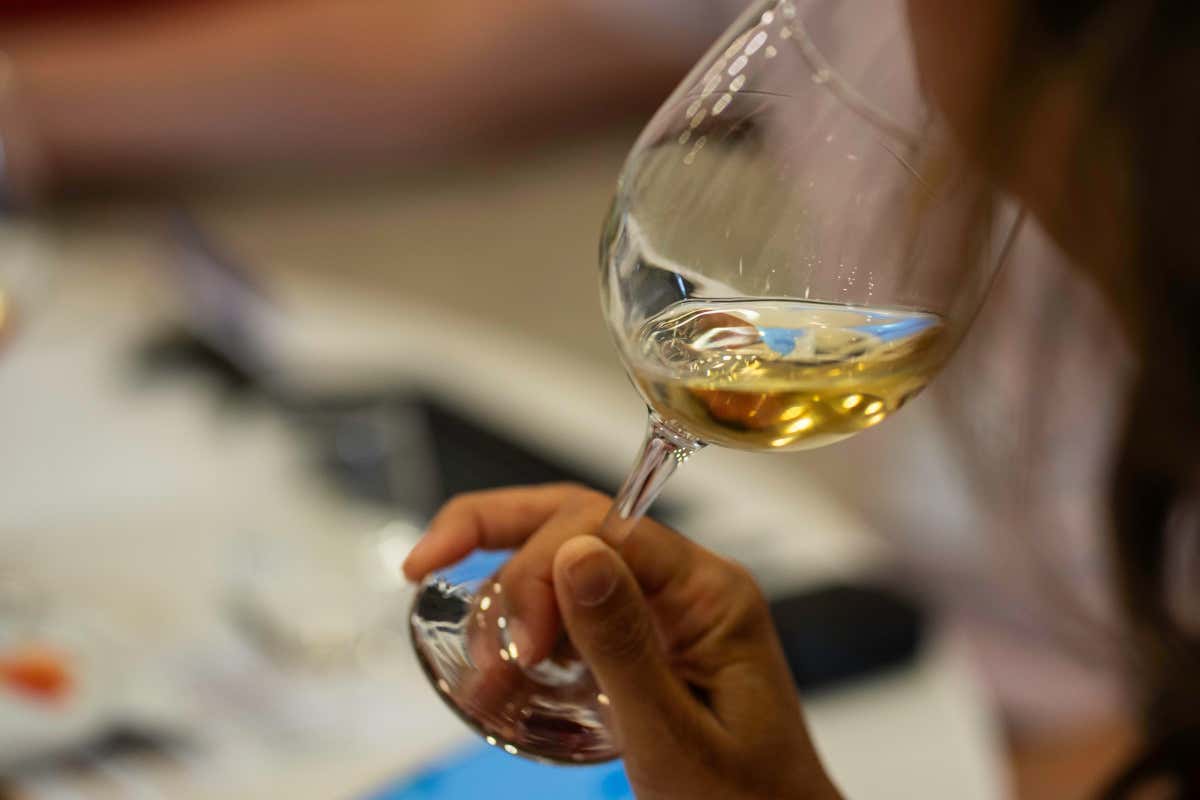 CMB 2025, Italia regina tra i vini dolci e fortificati con 28 medaglie CMB 2025, Italia regina tra i vini dolci e fortificati con 28 medaglie