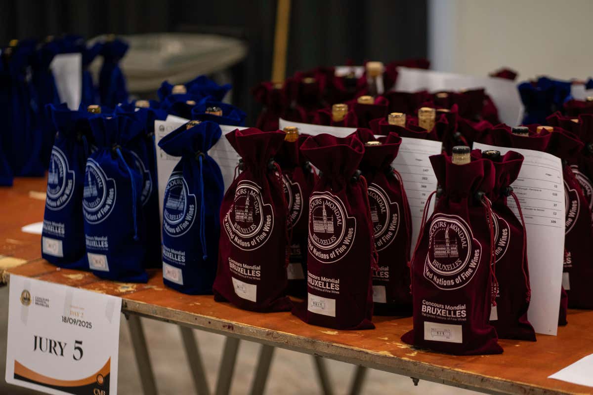 CMB 2025, Italia regina tra i vini dolci e fortificati con 28 medaglie CMB 2025, Italia regina tra i vini dolci e fortificati con 28 medaglie