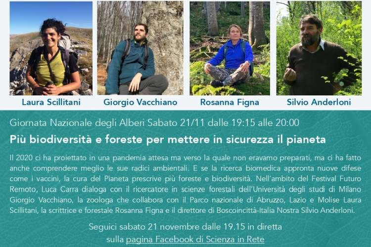 Giornata Nazionale degli Alberi, webinar Agugiaro&Figna Molini Giornata Nazionale degli Alberi, webinar Agugiaro&Figna Molini