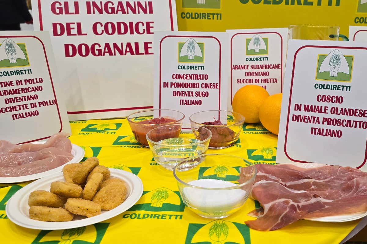 Italian Sounding, Coldiretti: il falso made in Italy costa 42 miliardi di euro