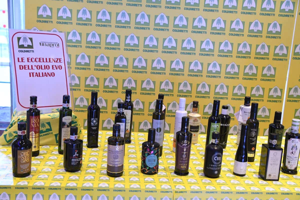 Evo sotto attacco: arrivati in Italia oltre 500 milioni di chili di olio straniero Evo sotto attacco: arrivati in Italia oltre 500 milioni di chili di olio straniero