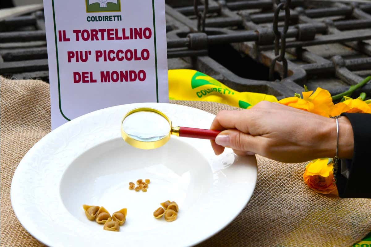 Dalla tradizione al Guinness: a Bologna il tortellino più piccolo del mondo