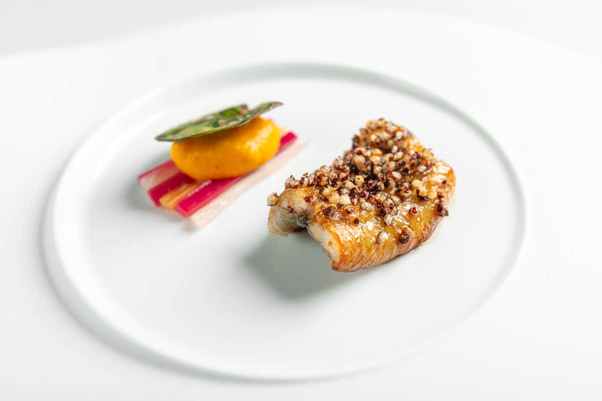 Ca' Apollonio Heritage: tra ospitalità green, alta cucina e vino di qualità