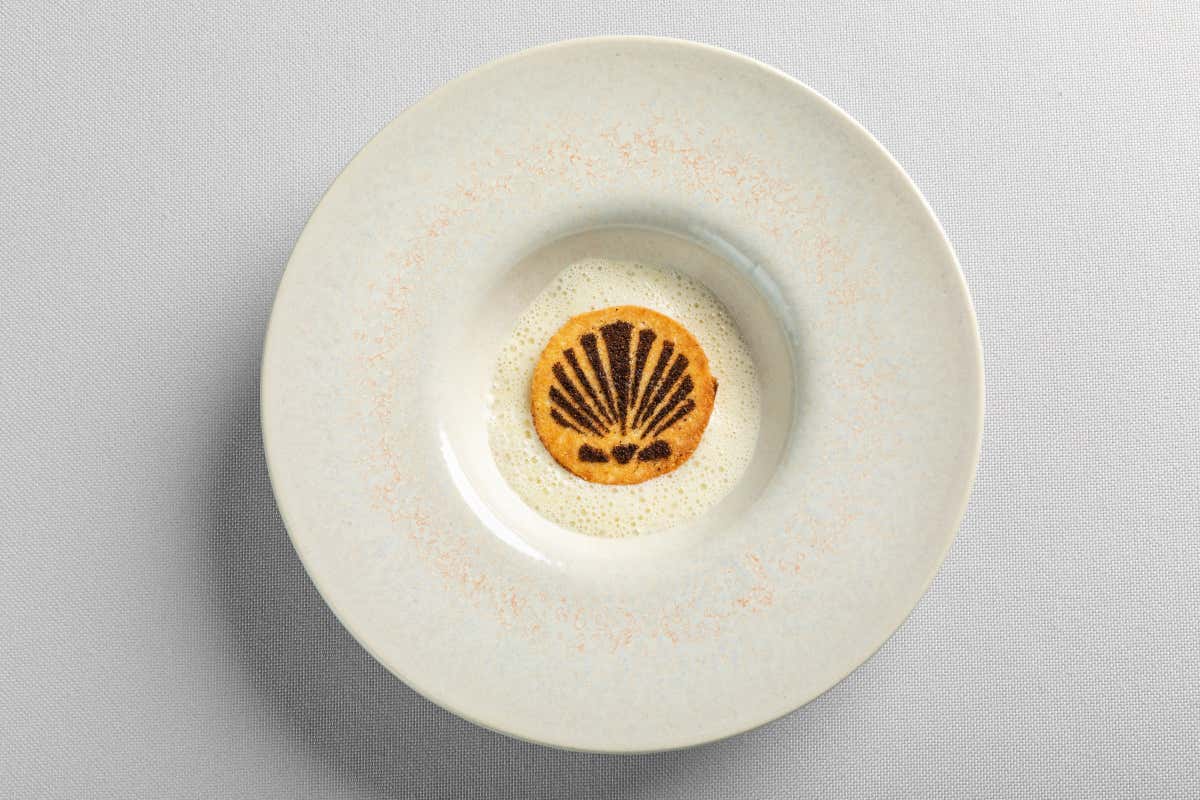 Ca' Apollonio Heritage: tra ospitalità green, alta cucina e vino di qualità