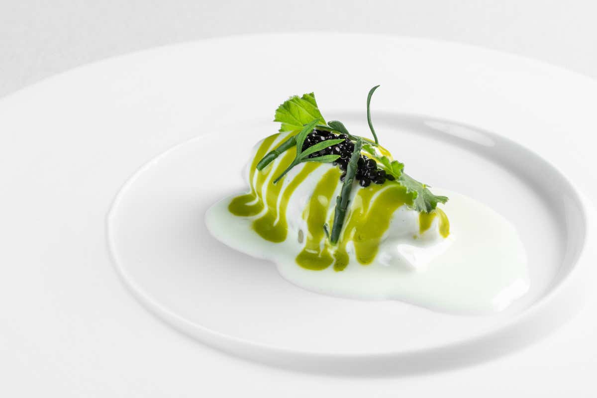 Ca' Apollonio Heritage: tra ospitalità green, alta cucina e vino di qualità