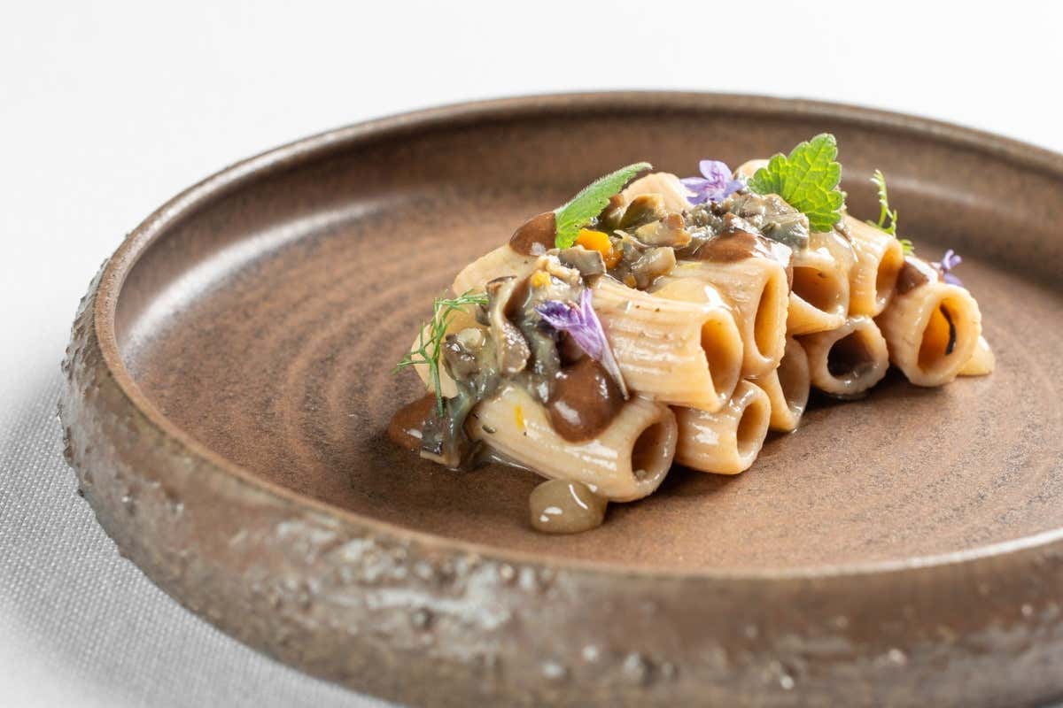 Ca’ Apollonio Heritage: tra ospitalità green, alta cucina e vino di qualità