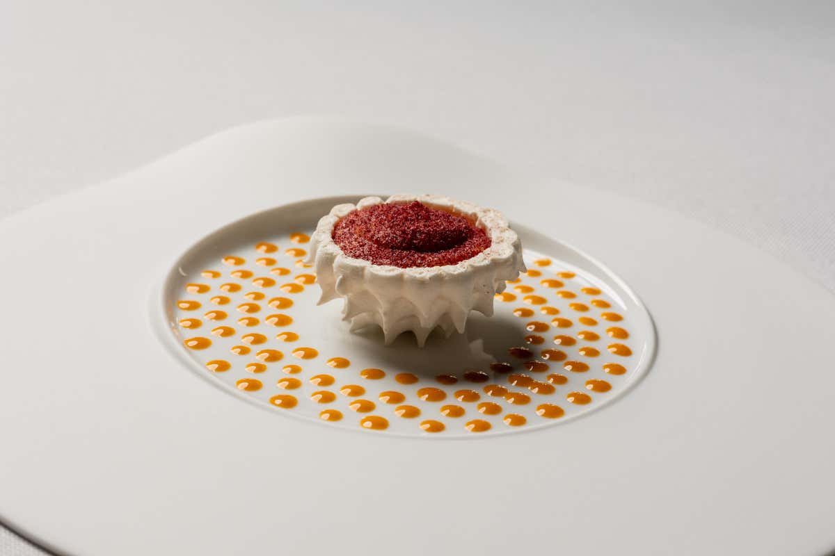 Ca' Apollonio Heritage: tra ospitalità green, alta cucina e vino di qualità