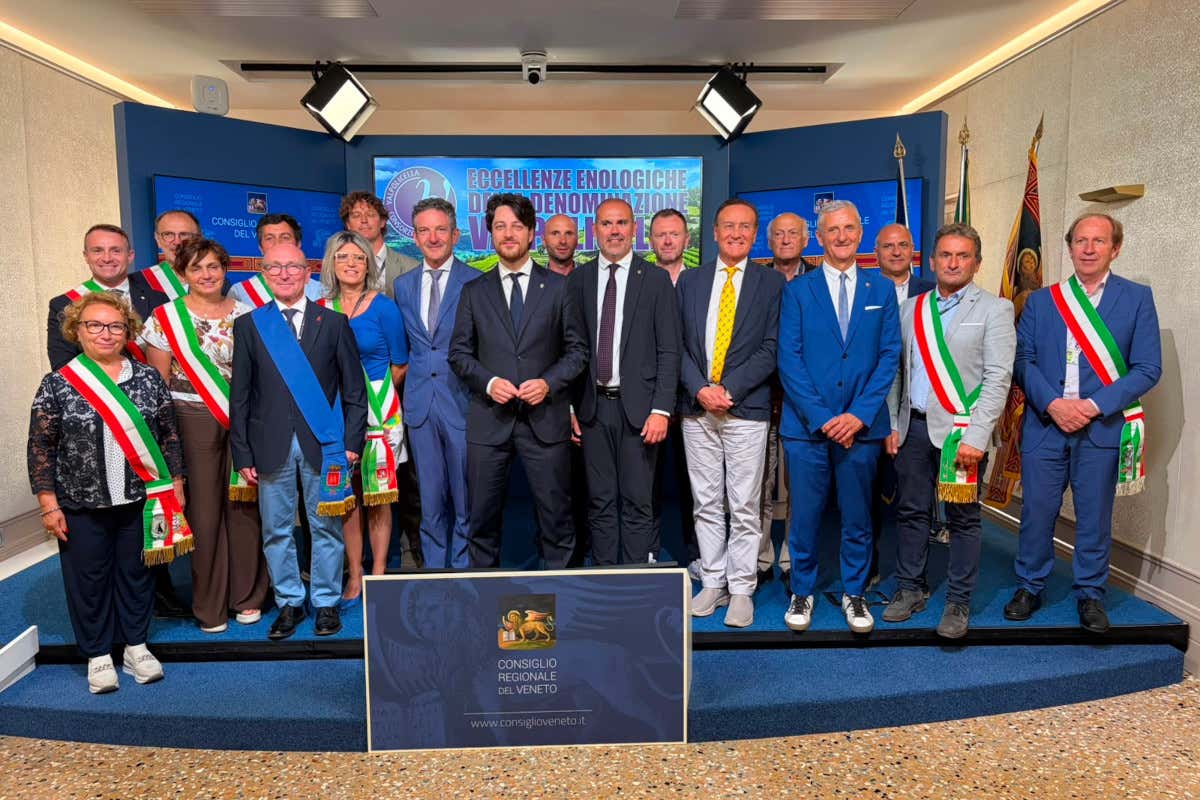 Valpolicella: produzione stabile, bottiglie in calo e investimenti sulla promozione
